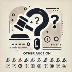 Other_Auction_Option_Icon-Auction-Sphere